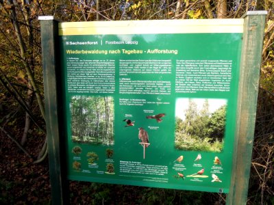 Zwenkauer Eichholz - Naturlehrpfad 09 - Wiederbewaldung nach Tagebau - Aufforstung