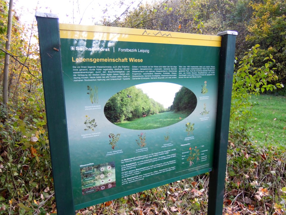 Zwenkauer Eichholz - Naturlehrpfad 08 - Lebensgemeinschaft Wiese