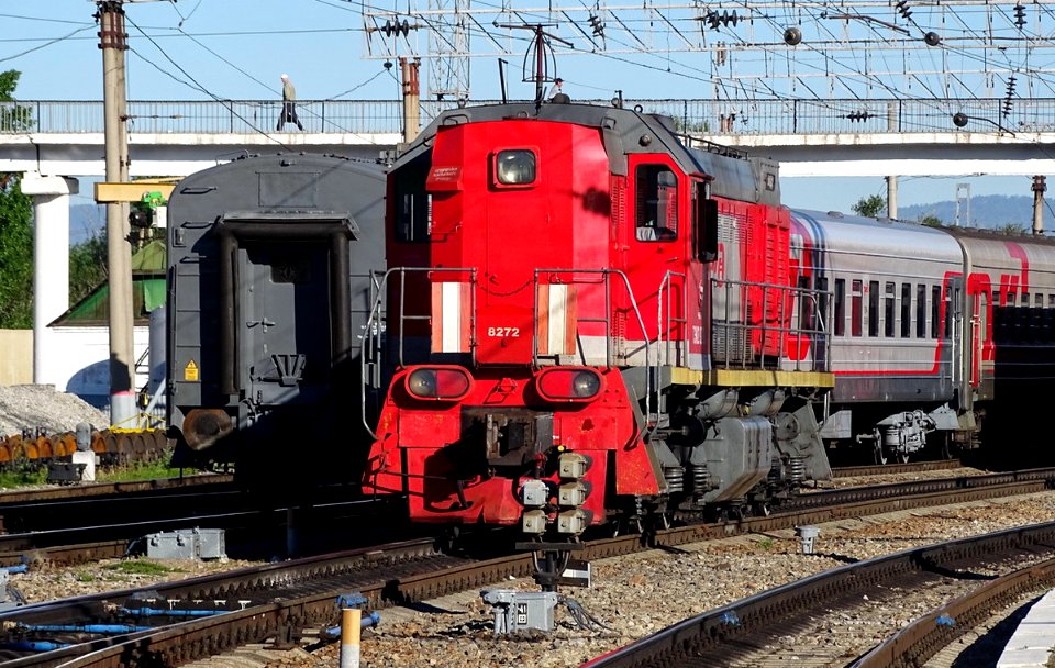 ТЭМ2А-8272, Россия, Забайкальский край, станция Чита-II (Trainpix 139130)
