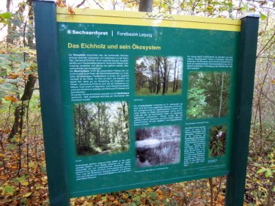 Zwenkauer Eichholz - Naturlehrpfad 05 - Das Eichholz und sein Ökosystem