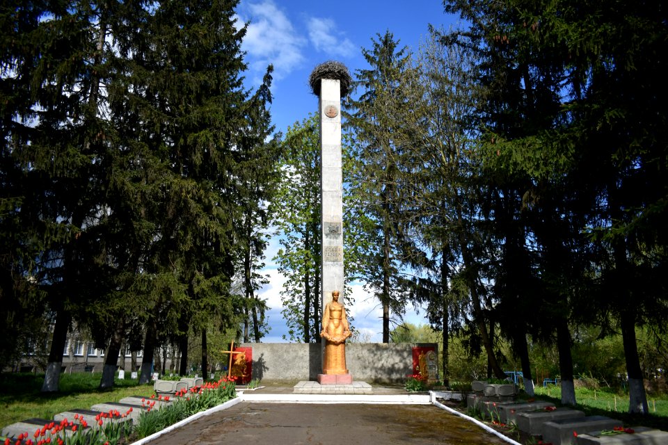 Нова Ободівка 01