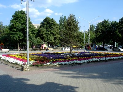 РНД-Рабочая площадь