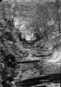 "A shady glen" view from Waterfall Bridge New Radnor (1294282)