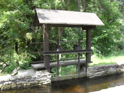 Čeňkova pila 42