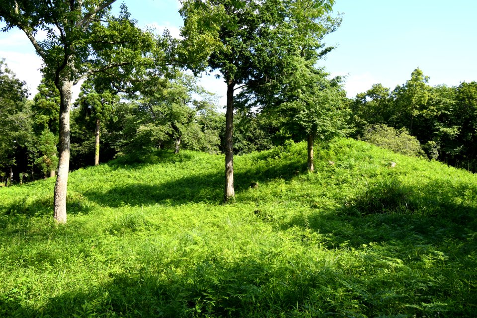 Ōu Kofun Group, Tenjinzuka Kofun, funkyu