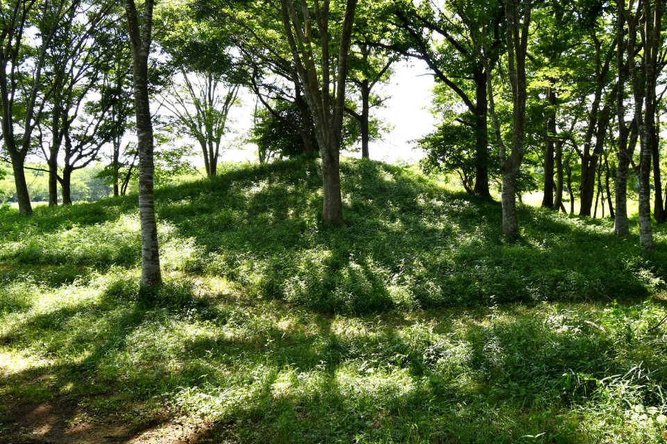 Ōu Kofun Group-8, funkyu