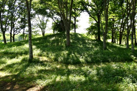 Ōu Kofun Group-8, funkyu