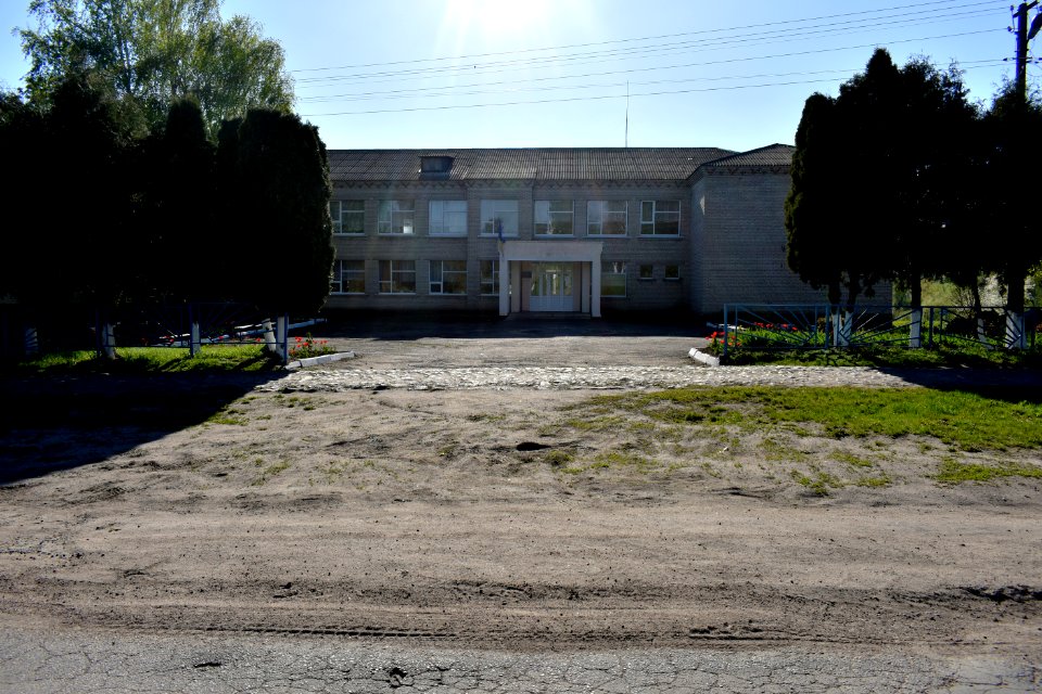Бджільна 07