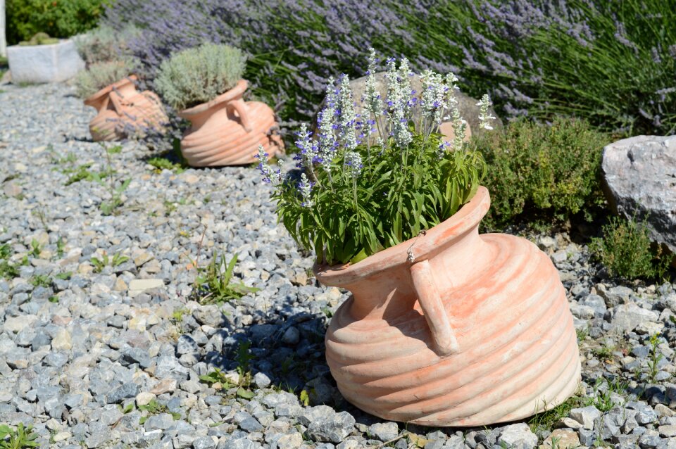 Jars white lavender gravel
