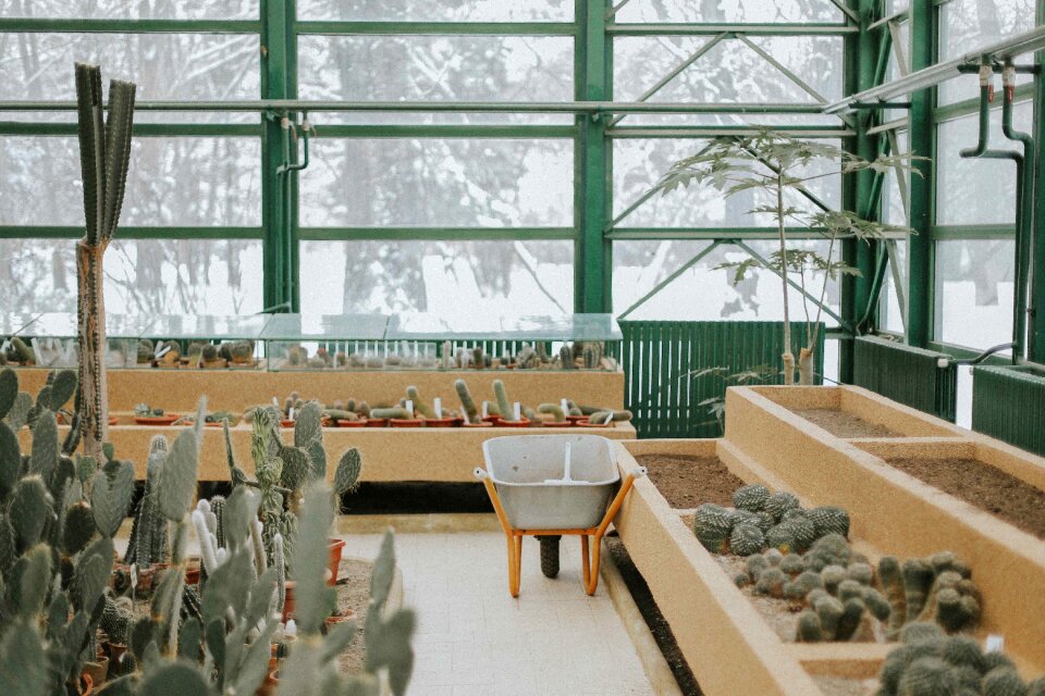 Green nature garden