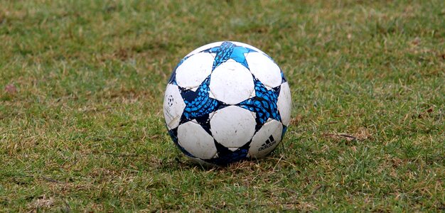 Champions league course grass