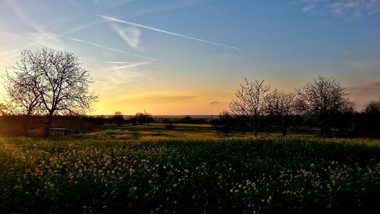 Meadow field sky photo