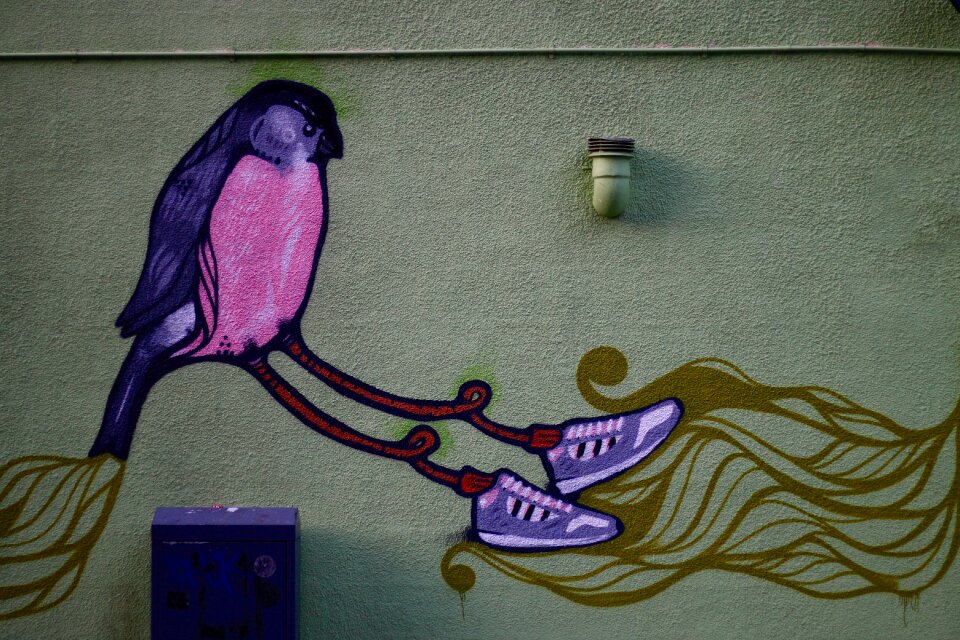 Mural painting bird