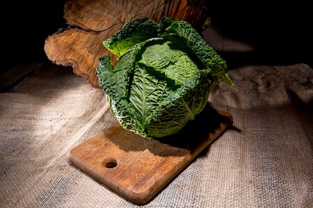 Savoy cabbage vegetables still life