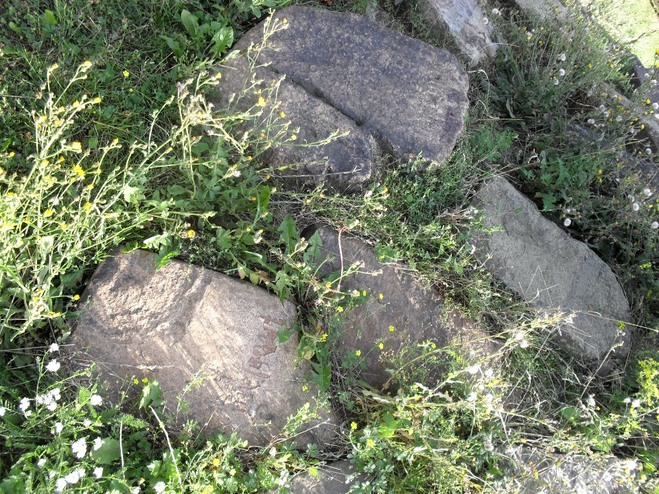 (TTO) Pomník zrušení nevolnictví (Teplice) 8