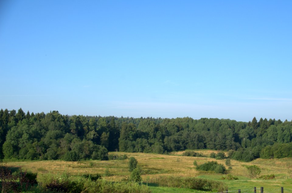 0030 1st of August 2016 in Moscow Oblast, Russia
