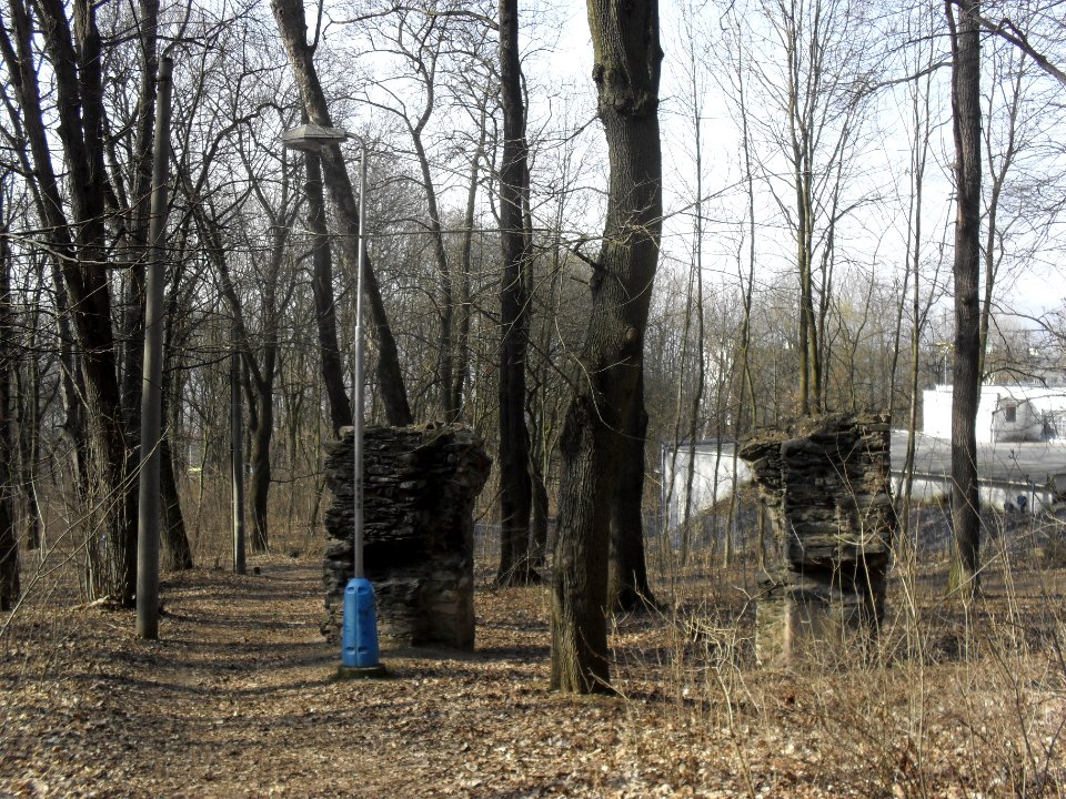(TTO) Hrad Doubravská hora, zřícenina (Teplice) 14 3 2014 18