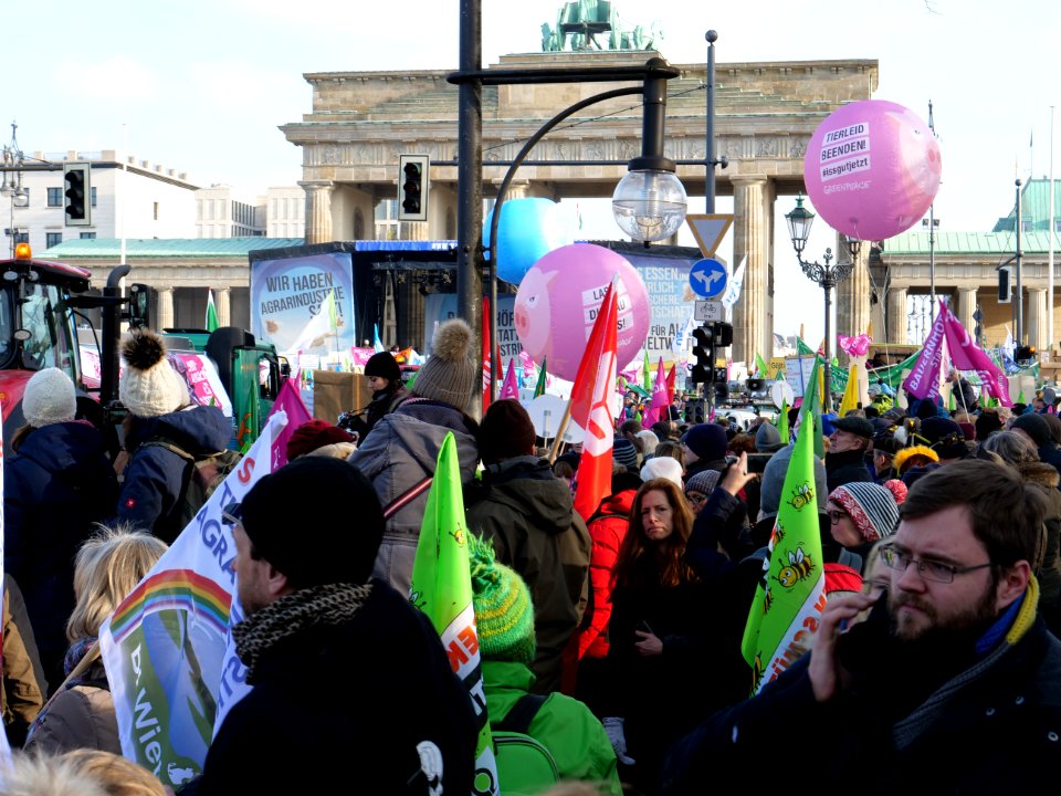 "Wir Haben Es Satt!" Demonstration 2019 06