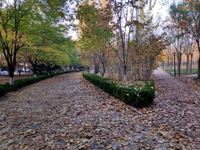 潍坊学院 风景 02