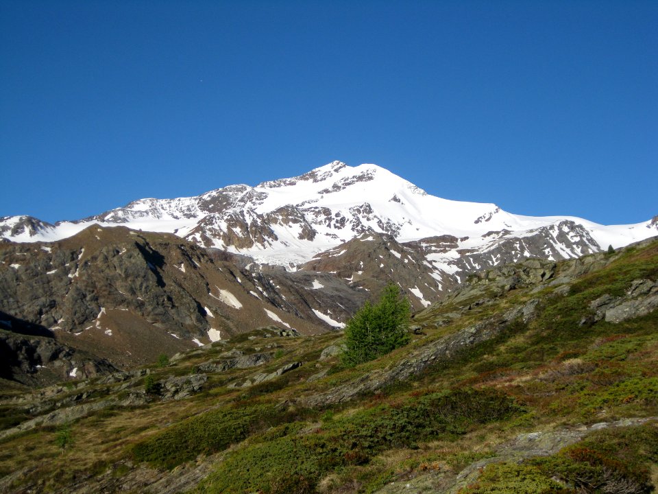 Zufallspitzen Martelltal 1