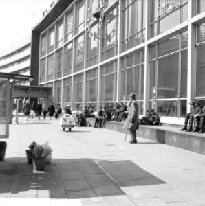 Zonnebaden voor het Centraal Station te Rotterdam, Bestanddeelnr 916-2501