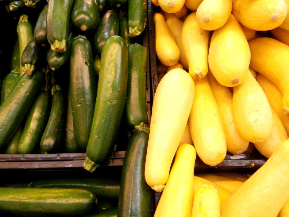 Zucchini and summer squash in bins