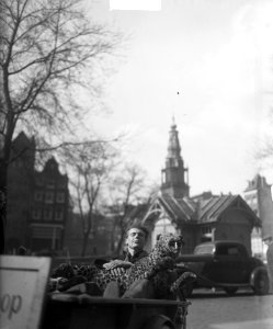 Zonnebaden met panter op Waterlooplein, Bestanddeelnr 903-9125