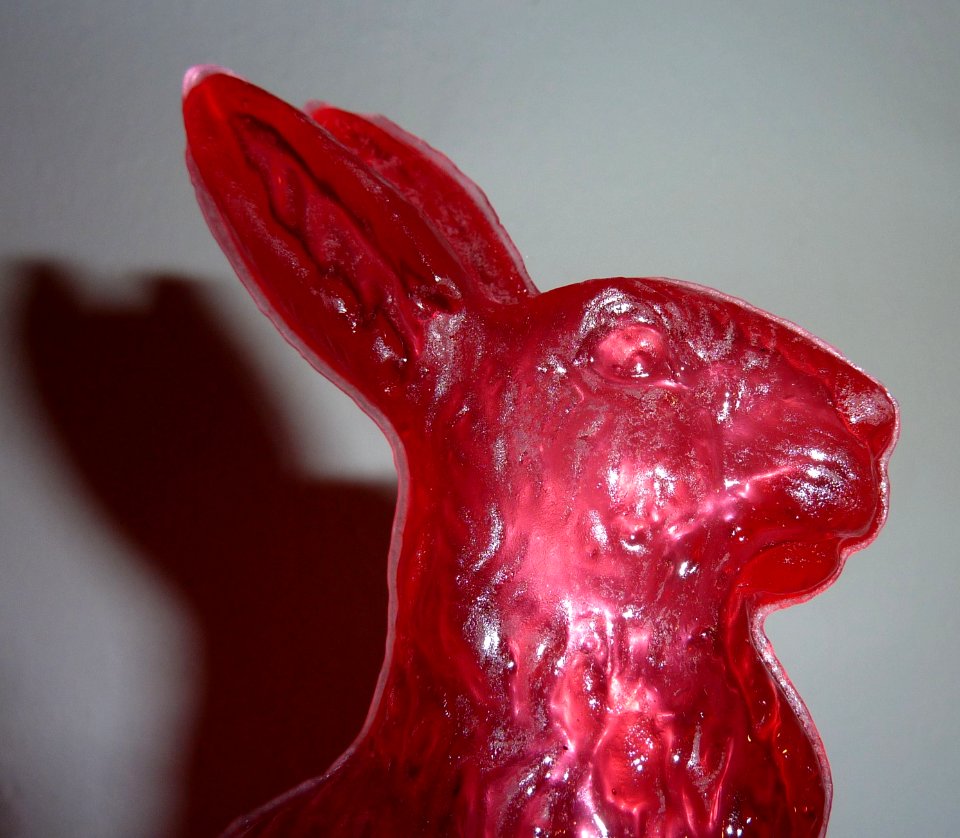 Zuckerhase Kopf mit Schatten