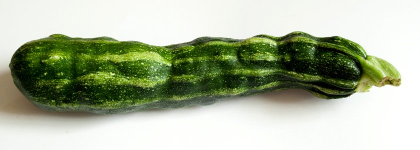 Zucchini with Zucchini Yellow Mosaic Virus
