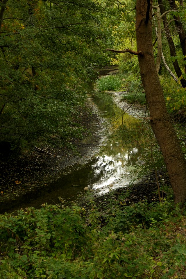Zuelowkanal.Krumme.Lanke.Naturschutzgebiet.Rangsdorfer.See