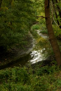 Zuelowkanal.Krumme.Lanke.Naturschutzgebiet.Rangsdorfer.See