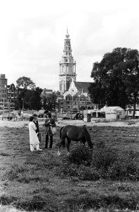 Zuiderkerk in Amsterdam gezien vanaf het Waterlooplein, Bestanddeelnr 930-9307