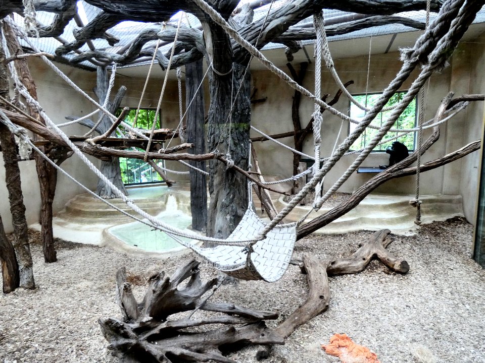 ZooHalle Schimpansenhaus Innen