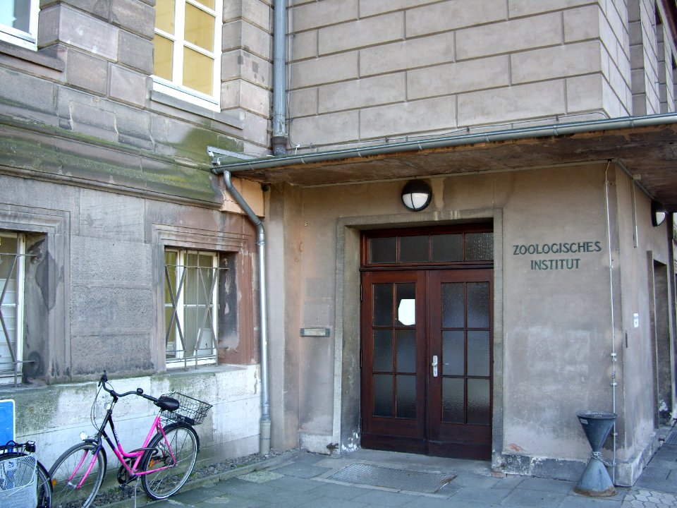 Zoologie-Goettingen-6