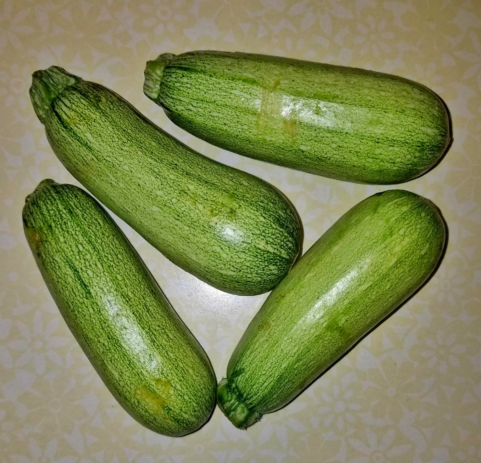 Zucchini - Massachusetts