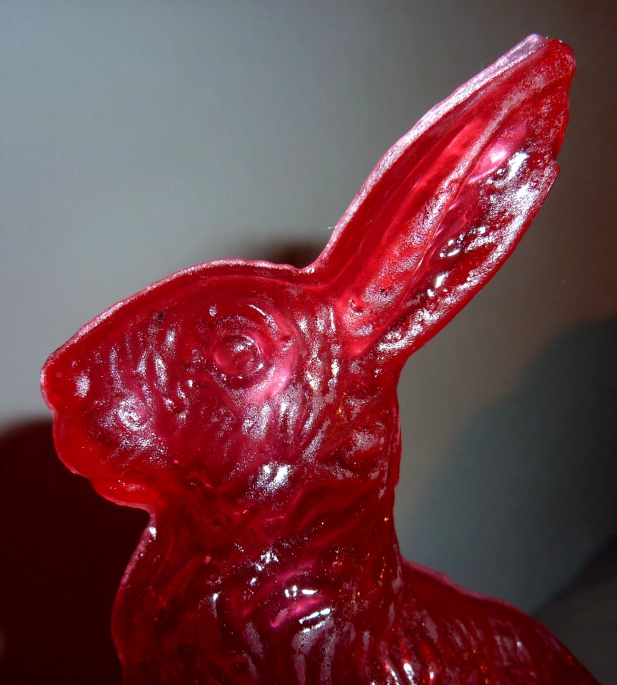 Zuckerhase Kopf mit Schatten 2