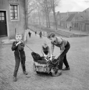 Zoons van slager M Groot uit Medemblik halen het vee o dat hun vader bij boeren, Bestanddeelnr 912-1197