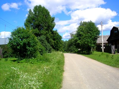 Zorino 6