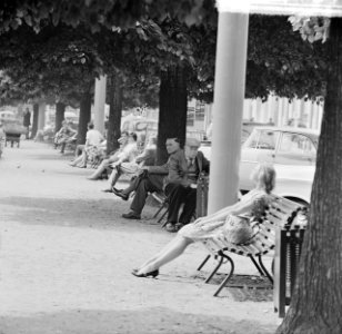 Zonnende mensen in Arnhem, Bestanddeelnr 912-7187