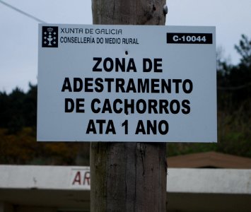 Zona de adestramento de CADELOS de ata 1 ano