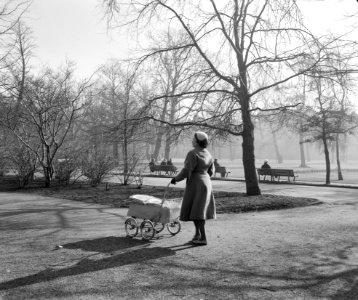 Zon in Amsterdam, zon in het Vondelpark, Bestanddeelnr 912-1103