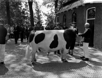 ZKM de Sjah van Iran bezoekt Friesland, Bestanddeelnr 910-3844