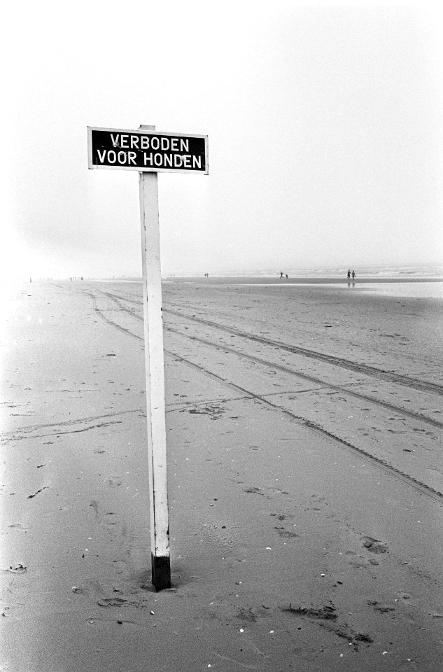 Zomer 1966 te Zandvoort, verlaten strand (met bordje verboden voor honden), Bestanddeelnr 919-3793