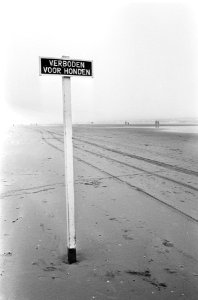 Zomer 1966 te Zandvoort, verlaten strand (met bordje verboden voor honden), Bestanddeelnr 919-3793