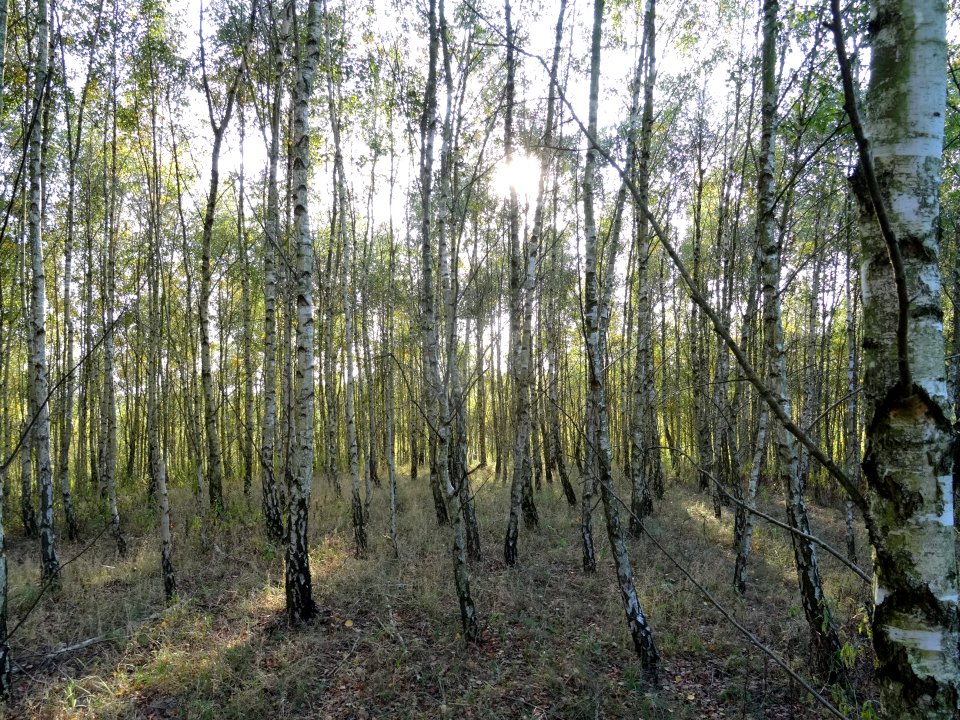 ZolwinPuszczaBydgoska 14 10-2015