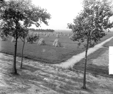 Zomerplaatjes. Hooien in buurt van Oudekerk, Bestanddeelnr 905-7999