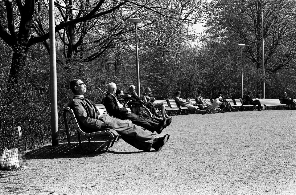 Zomerse dag in het Vondelpark, Bestanddeelnr 915-1336