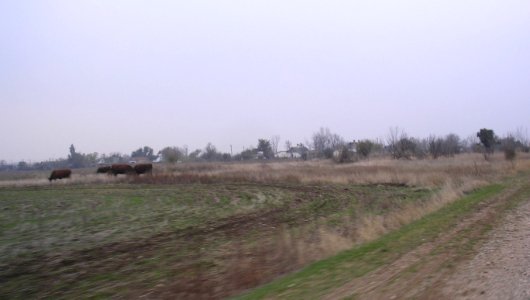 Zolotoe (Crimea) 1