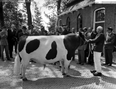 ZKM de Sjah van Iran bezoekt Friesland, Bestanddeelnr 910-3843