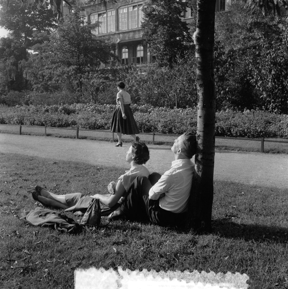 Zomerplaatje Vondelpark, Bestanddeelnr 908-0216